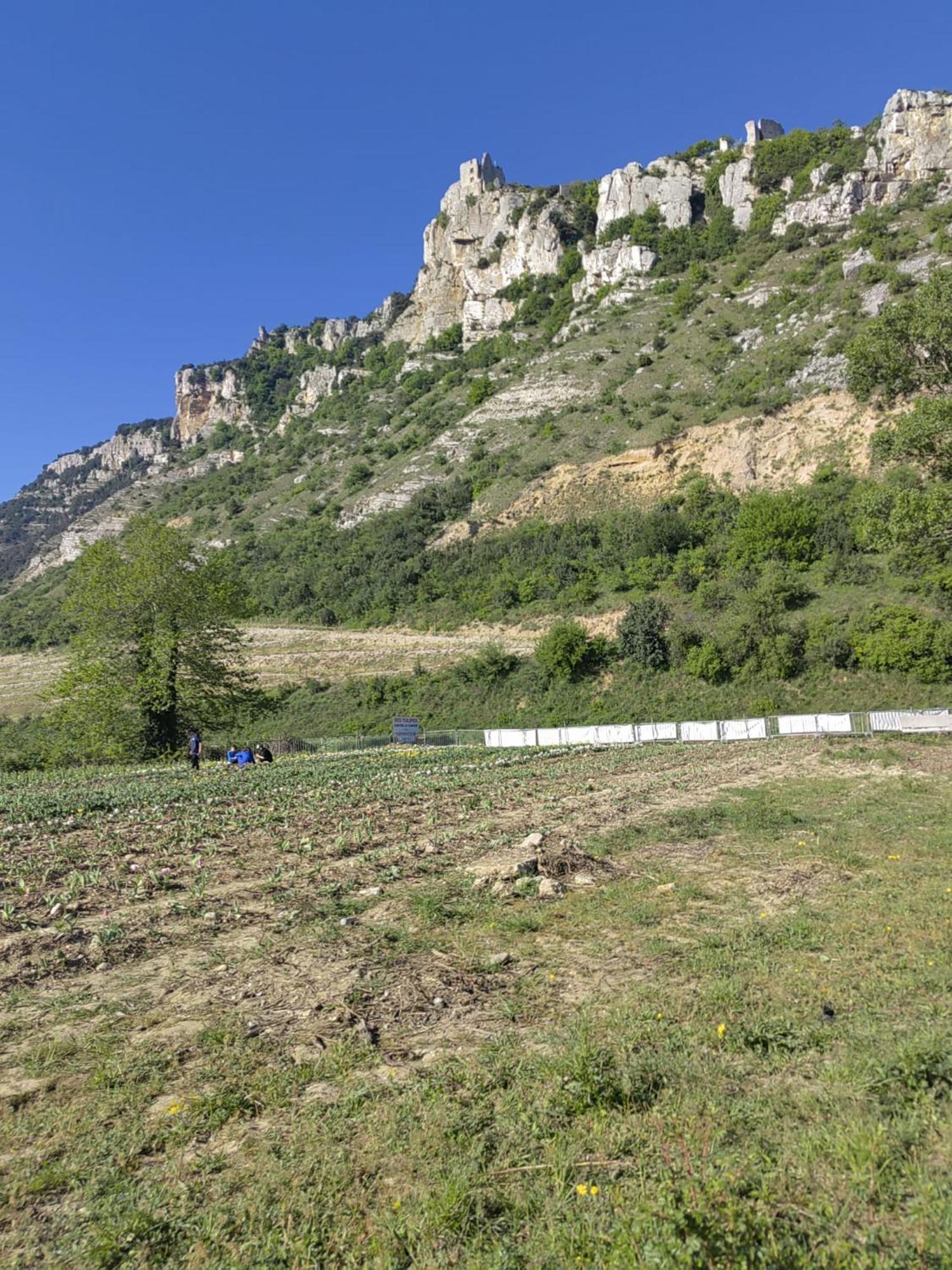 Appartement A Valence فالنسيا المظهر الخارجي الصورة